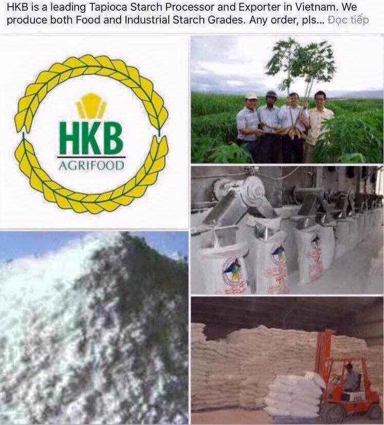 HANOI KINHBAC AGRIFOOD GROUP (HKB): New crop of Tapioca Starch and Tapioca Chips 