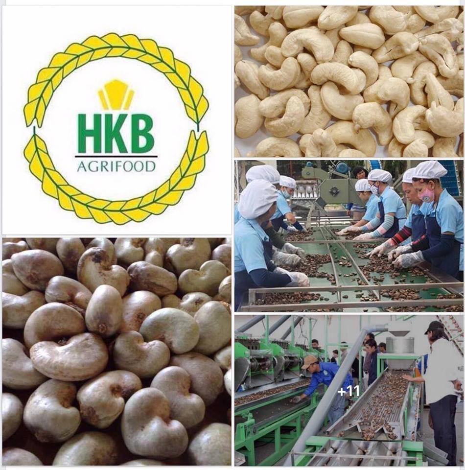 HANOI KINHBAC AGRIFOOD GROUP (HKB):Vietnam is number one Exporter of Cashew Nuts in the World. We, HKB, as a listed Processor and Exporter.
