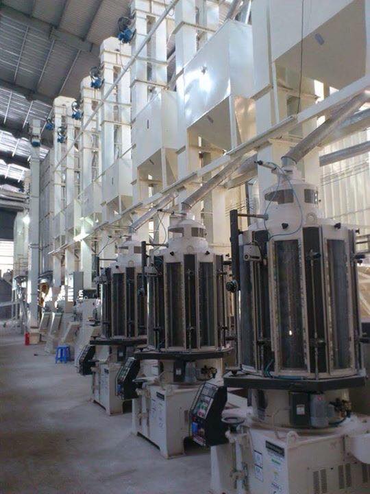 Rice processing lines