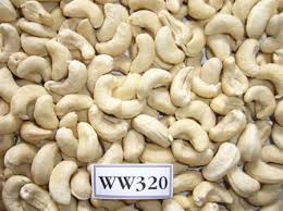 Cashew nut WW320