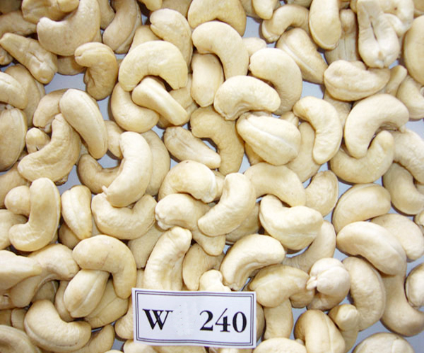 Cashew nut WW240