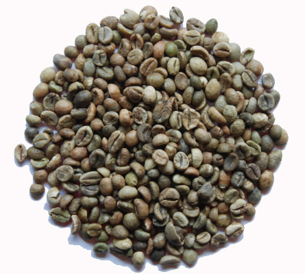 UNWASHED ROBUSTA - GRADE 2 SCREEN 13