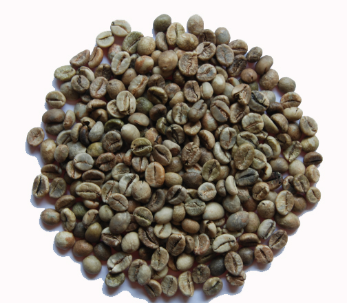 UNWASHED ROBUSTA - GRADE 1 SCREEN 18