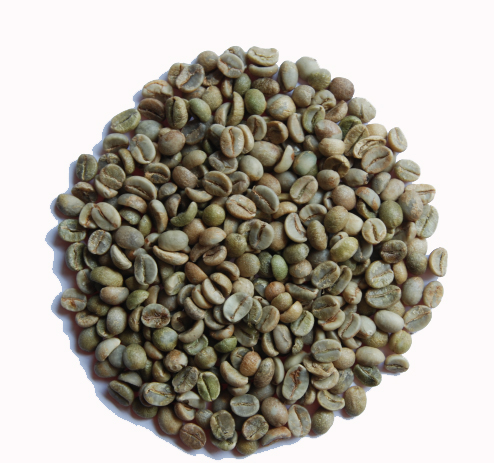 UNWASHED ARABICA - GRADE 1 SCREEN 16