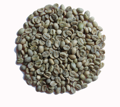 WASHED ARABICA - GRADE 1 SCREEN 16