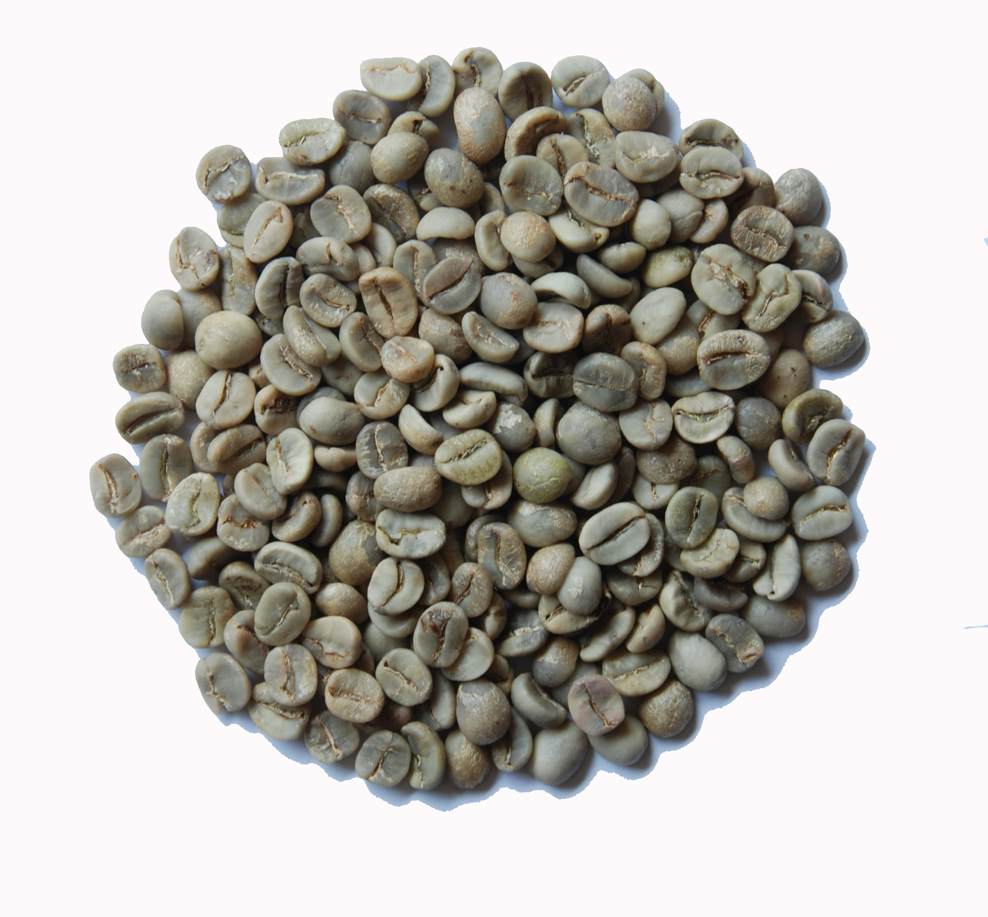 WASHED ARABICA - GRADE 1 SCREEN 18