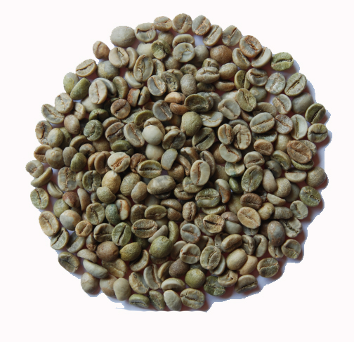 UNWASHED ARABICA GRADE 1 SCREEN 18